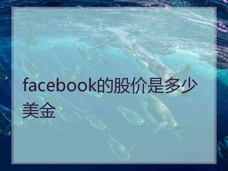 facebook的股价是多少美金