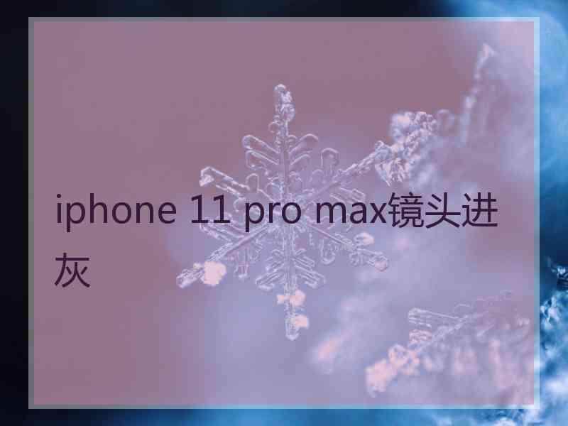 iphone 11 pro max镜头进灰