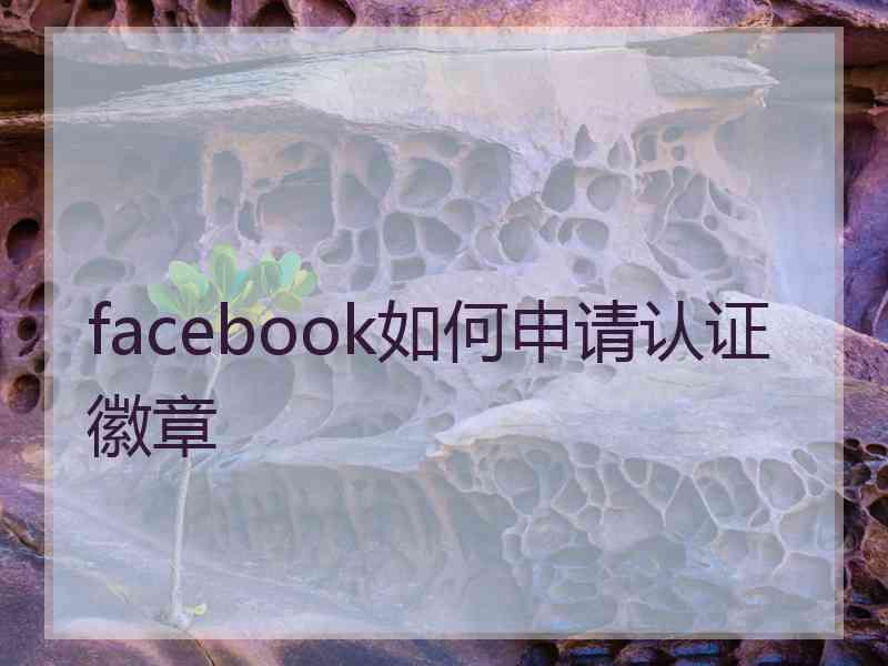 facebook如何申请认证徽章