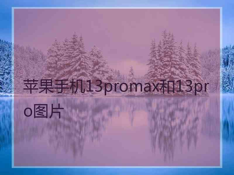 苹果手机13promax和13pro图片