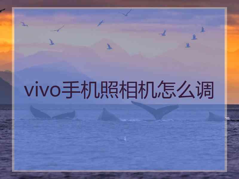 vivo手机照相机怎么调