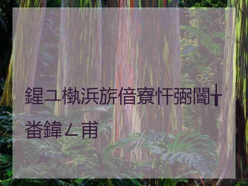 鍟ユ槸浜旂偣寮忓弻閽╁畨鍏ㄥ甫