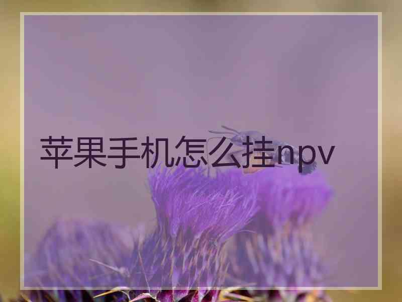 苹果手机怎么挂npv