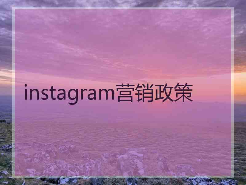 instagram营销政策