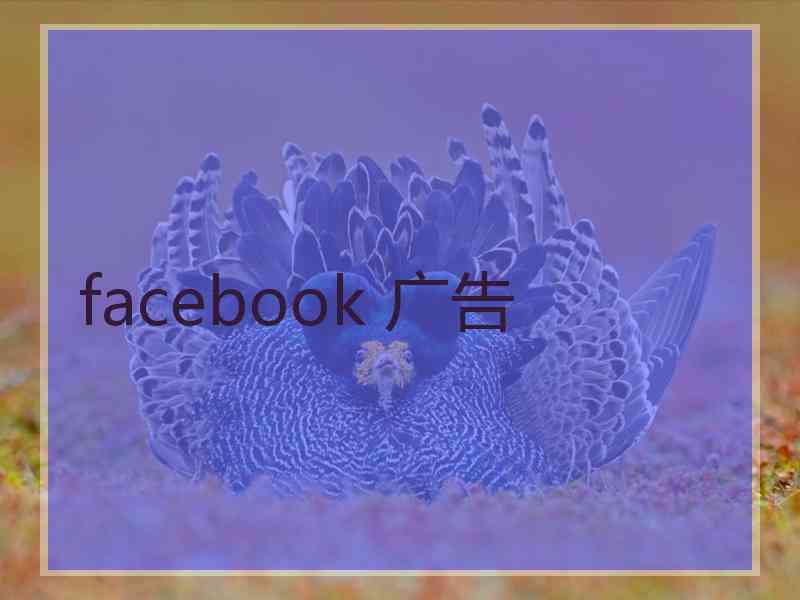 facebook 广告