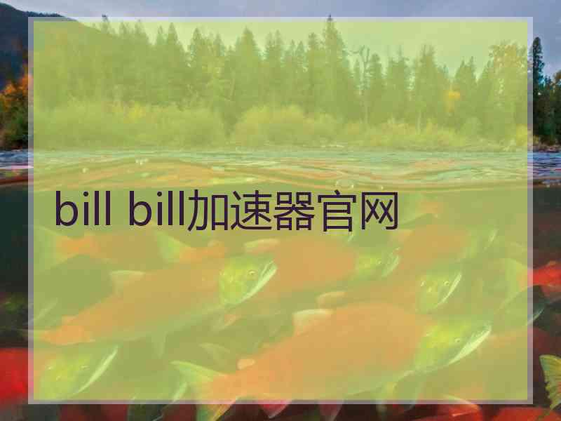 bill bill加速器官网