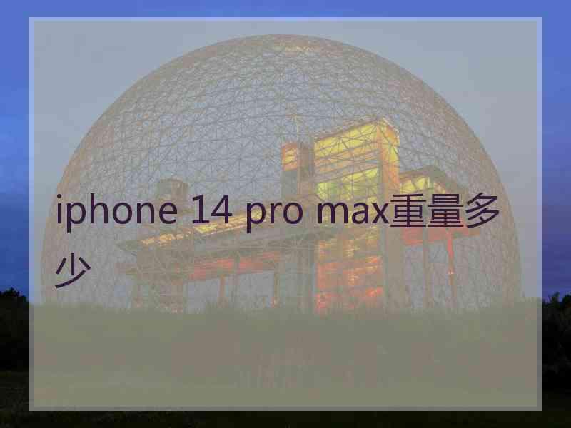 iphone 14 pro max重量多少