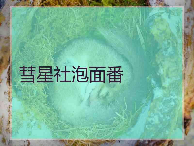 彗星社泡面番