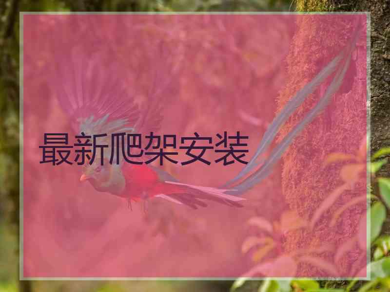 最新爬架安装