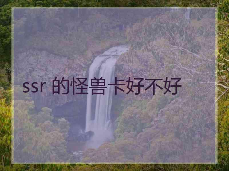 ssr 的怪兽卡好不好