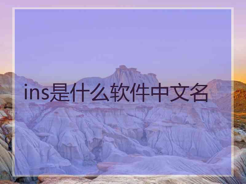 ins是什么软件中文名