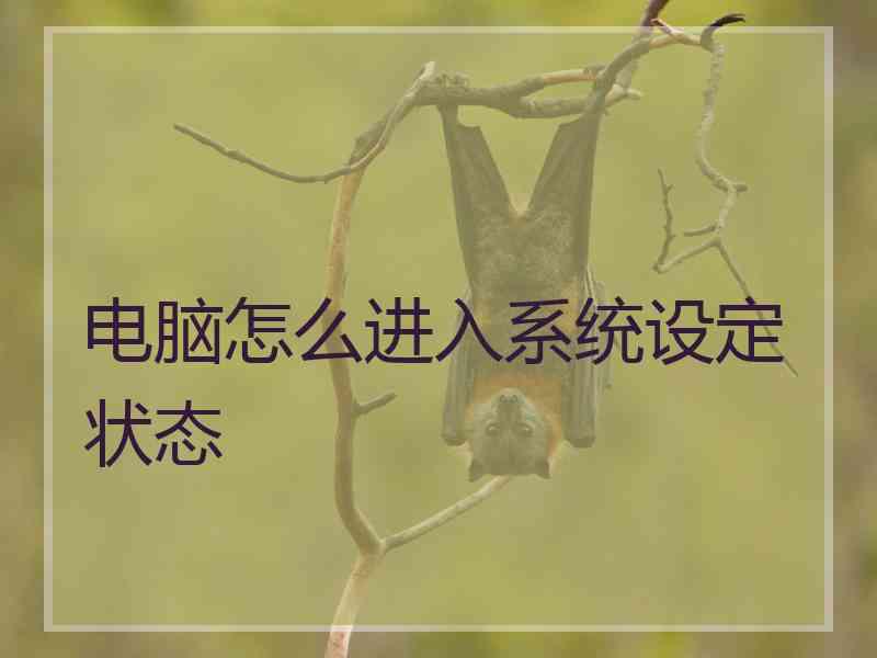 电脑怎么进入系统设定状态