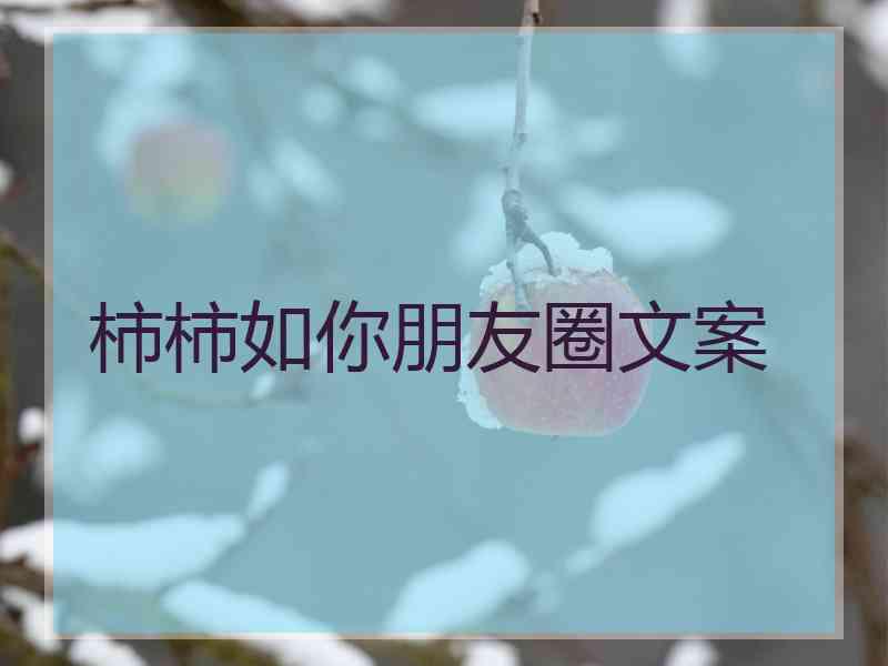 柿柿如你朋友圈文案