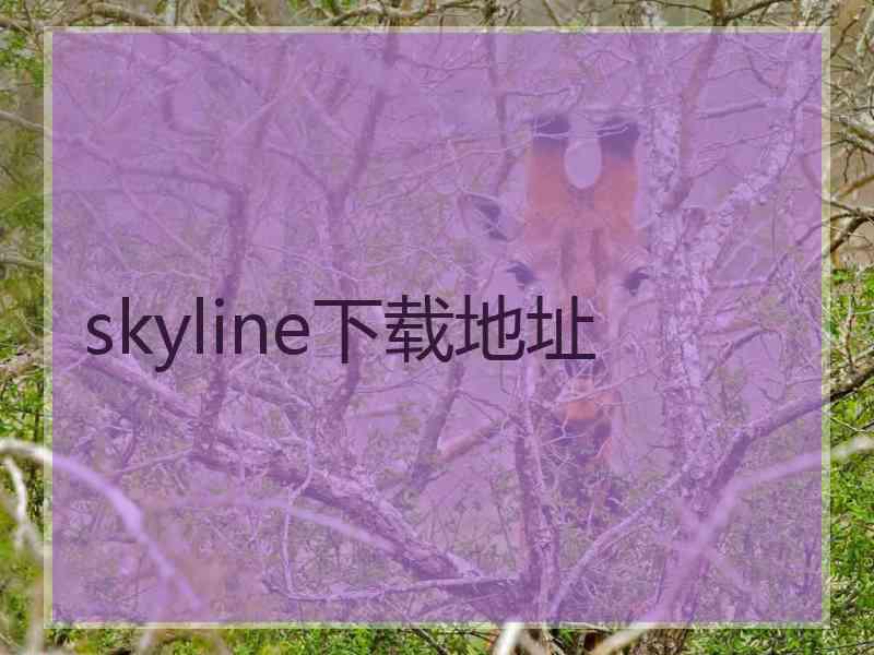 skyline下载地址