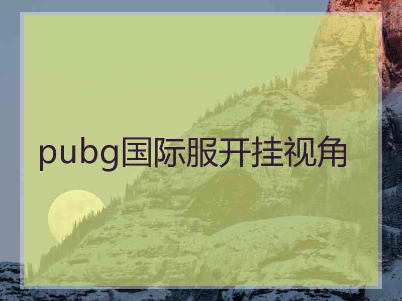 pubg国际服开挂视角