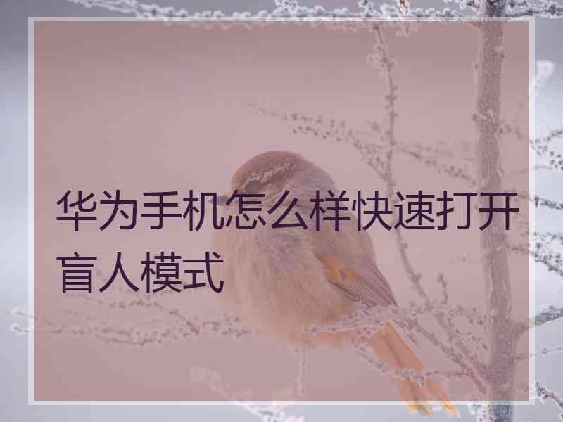 华为手机怎么样快速打开盲人模式