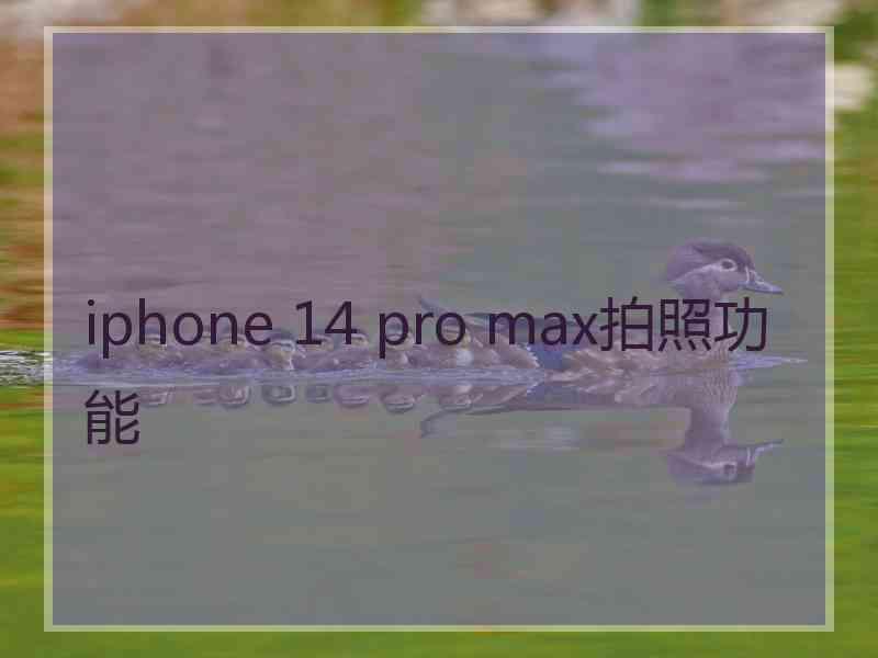 iphone 14 pro max拍照功能