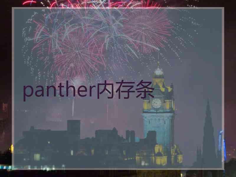 panther内存条