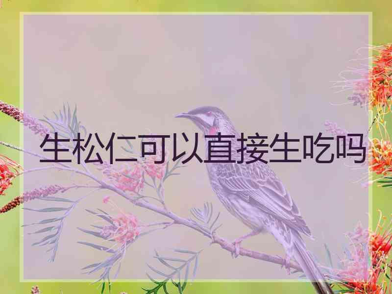 生松仁可以直接生吃吗