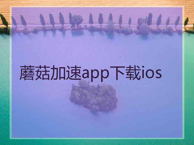 蘑菇加速app下载ios