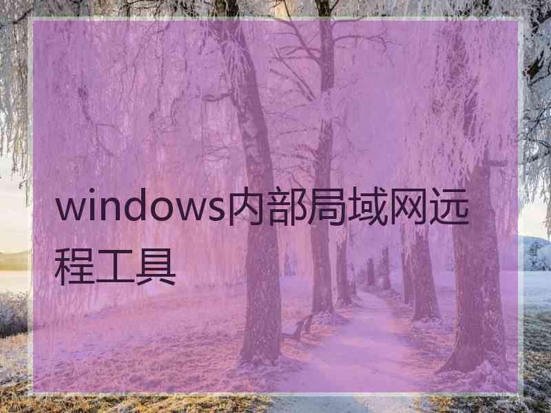 windows内部局域网远程工具