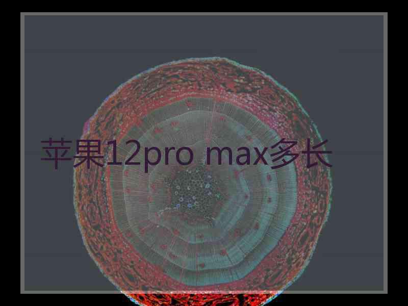 苹果12pro max多长