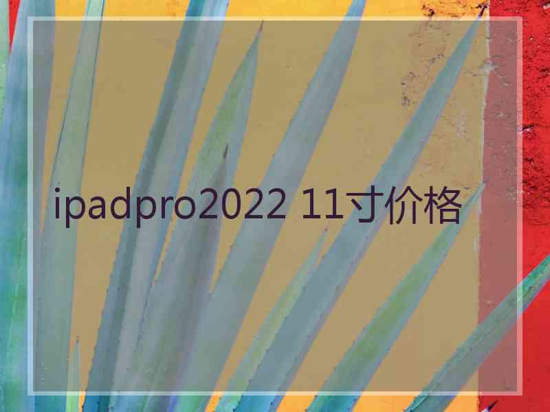 ipadpro2022 11寸价格