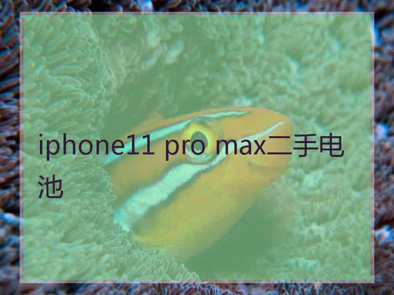 iphone11 pro max二手电池