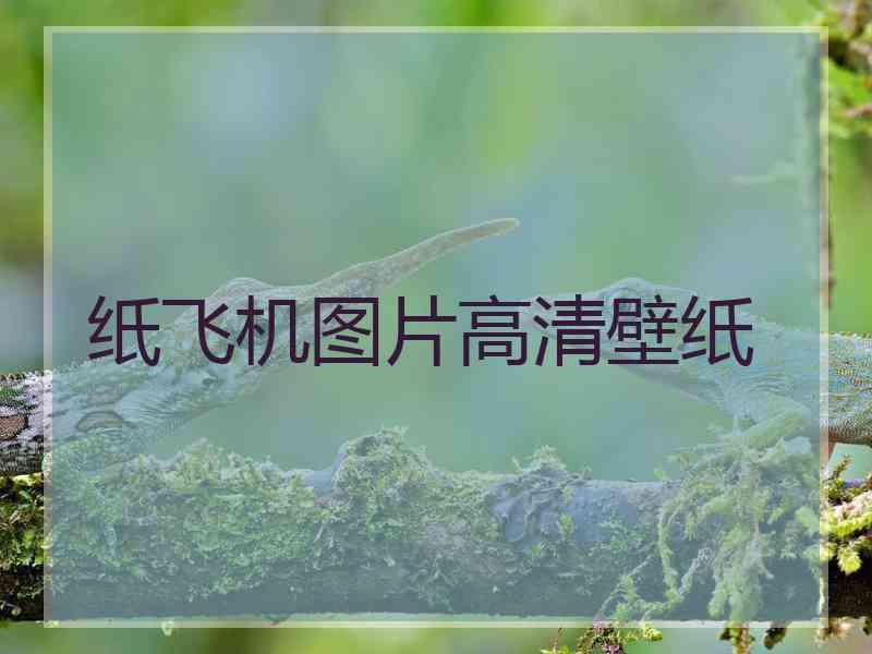 纸飞机图片高清壁纸