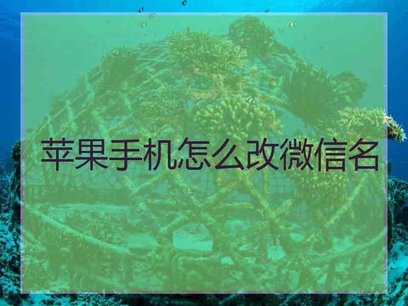 苹果手机怎么改微信名