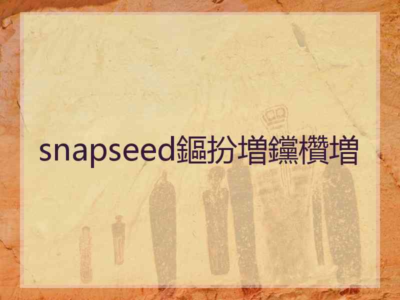 snapseed鏂扮増钂欑増