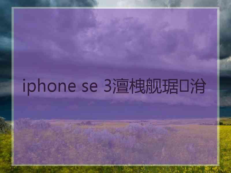 iphone se 3澶栧舰琚洕