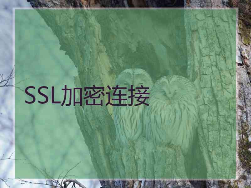 SSL加密连接