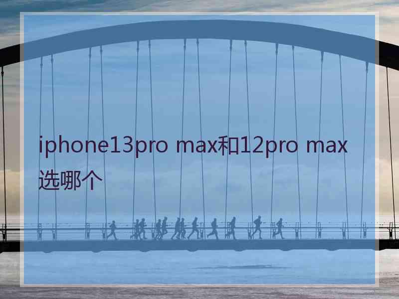 iphone13pro max和12pro max选哪个