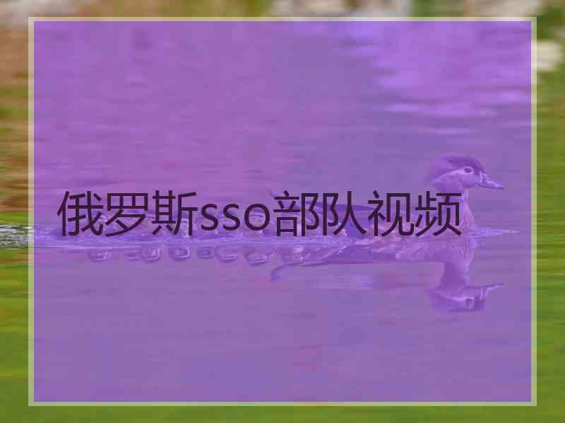 俄罗斯sso部队视频