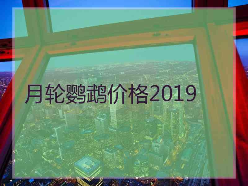 月轮鹦鹉价格2019