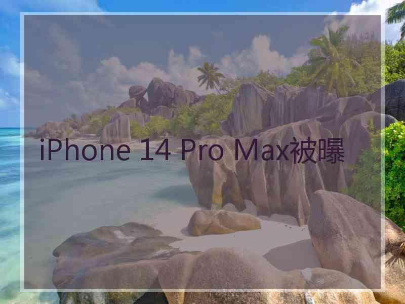 iPhone 14 Pro Max被曝