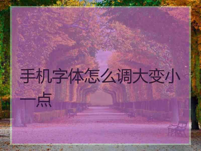 手机字体怎么调大变小一点