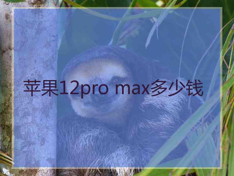 苹果12pro max多少钱