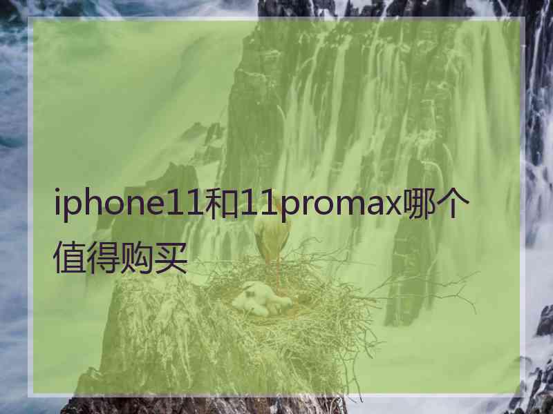 iphone11和11promax哪个值得购买