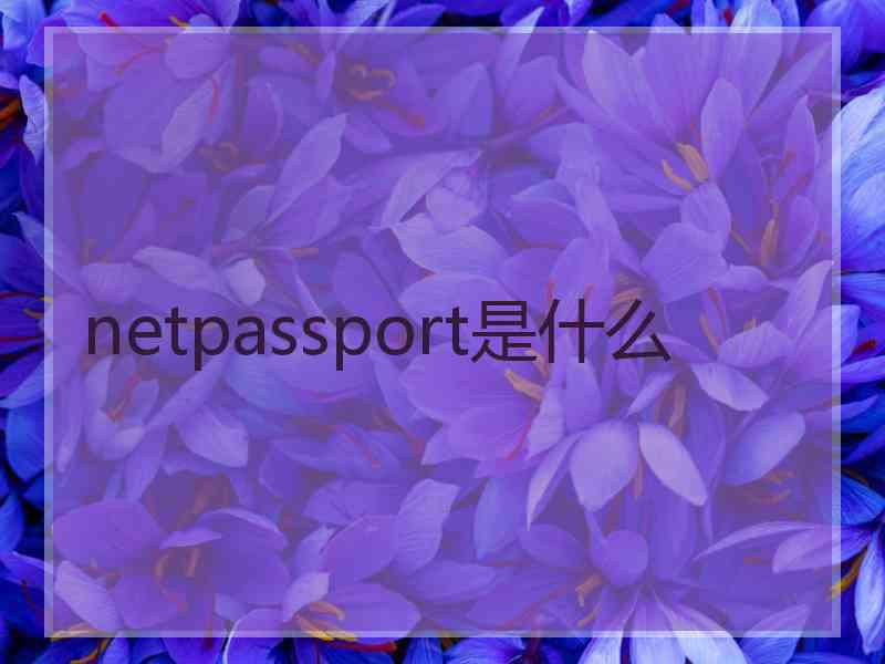 netpassport是什么