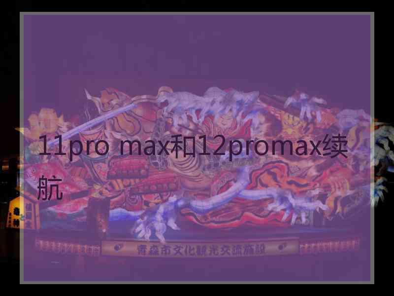 11pro max和12promax续航