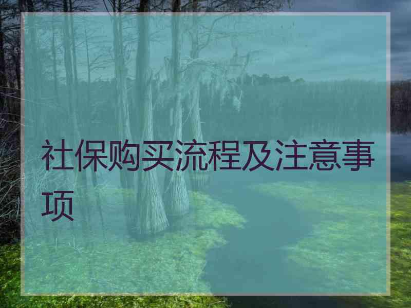 社保购买流程及注意事项