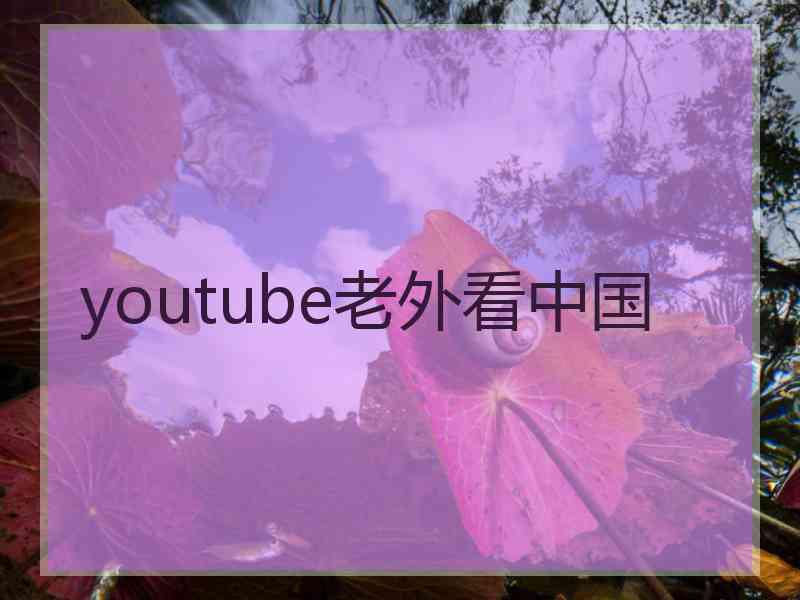 youtube老外看中国