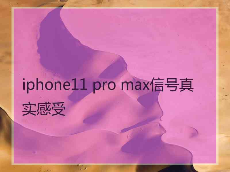 iphone11 pro max信号真实感受