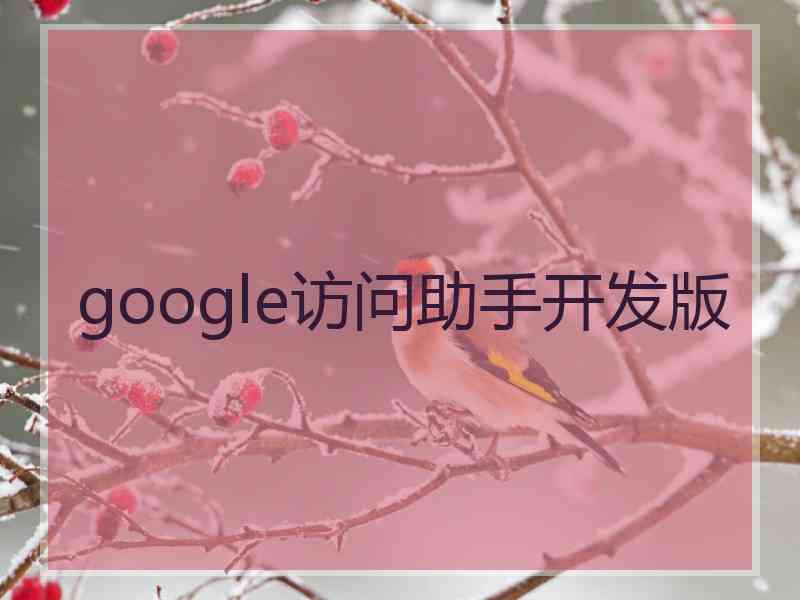 google访问助手开发版