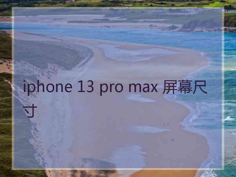 iphone 13 pro max 屏幕尺寸