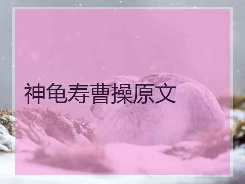 神龟寿曹操原文