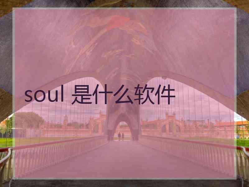 soul 是什么软件