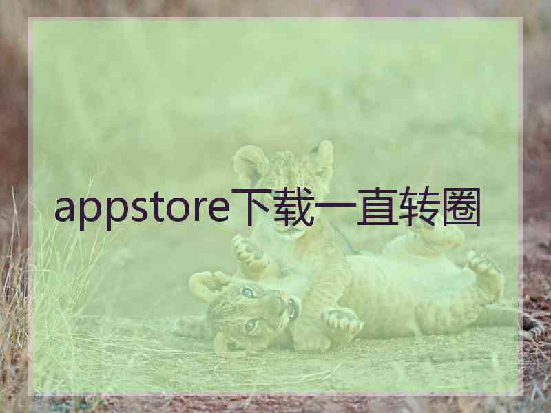 appstore下载一直转圈